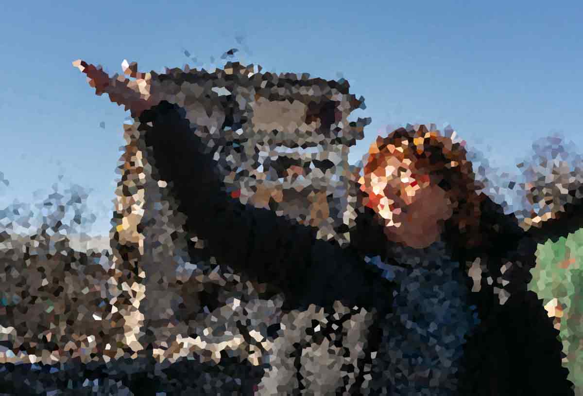 Skirmishes Break Out on the Border Between Dravena and Kylor