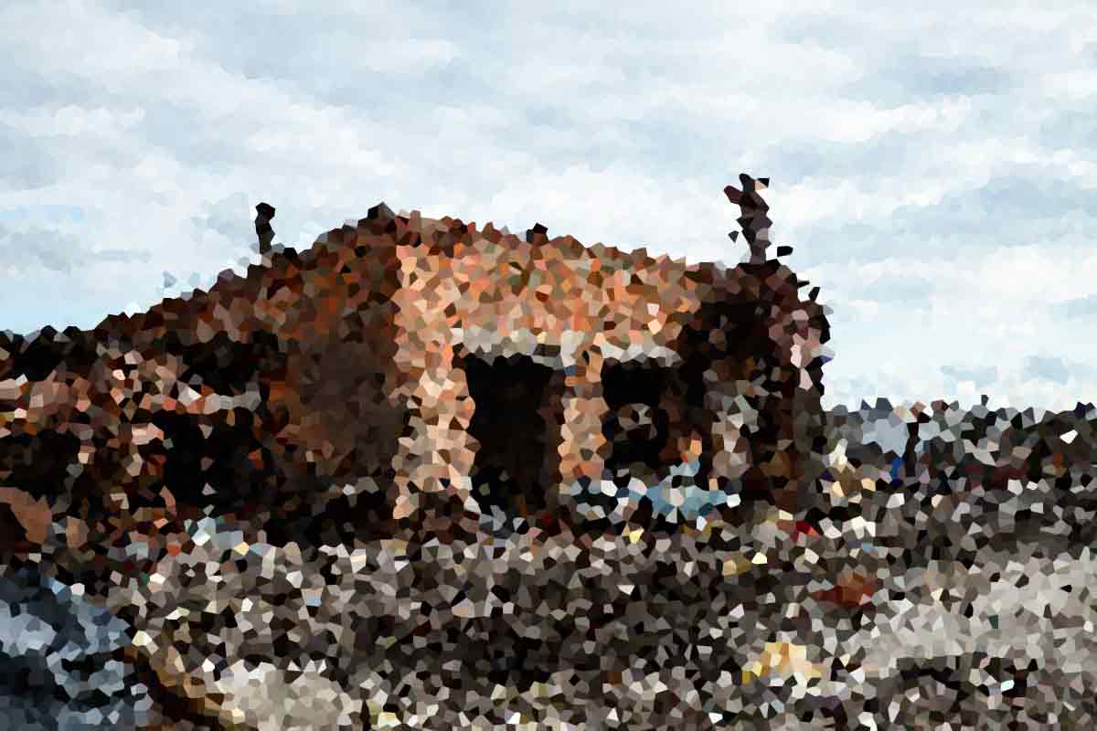 War-Torn Nation Begins Reconstruction Efforts with International Aid